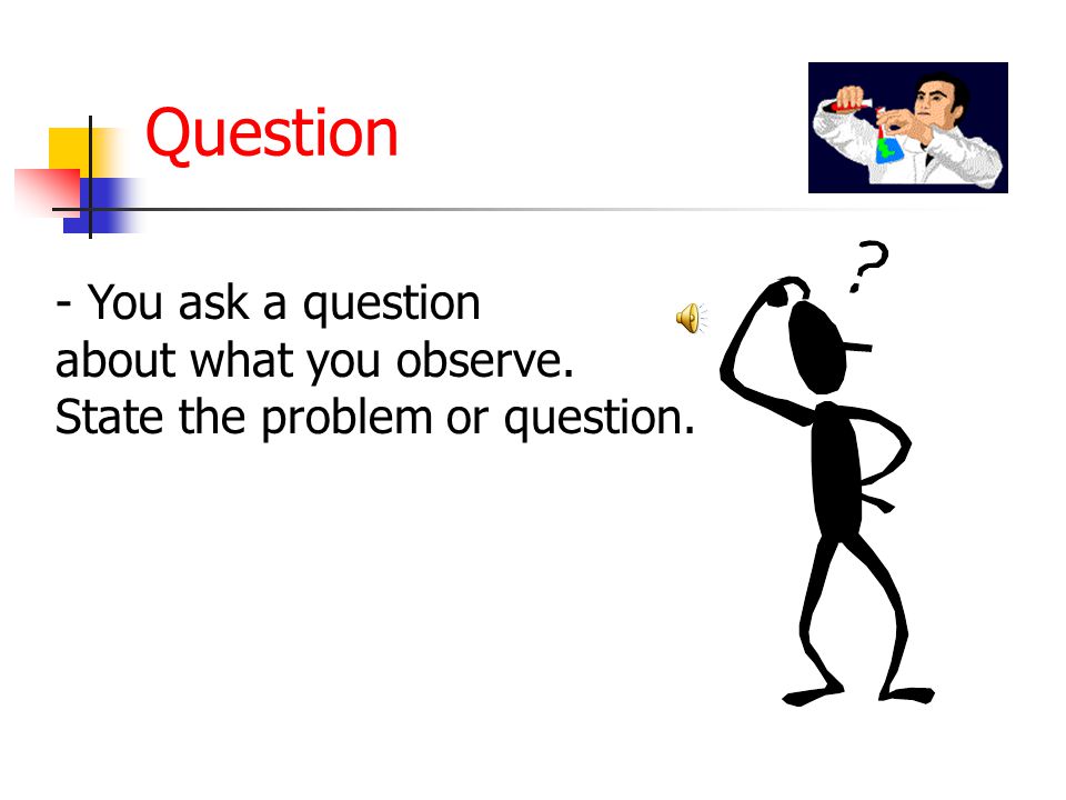 Question - You ask a question about what you observe.