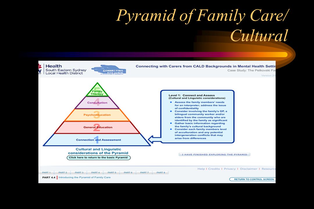 Pyramid of Family Care/ Cultural.