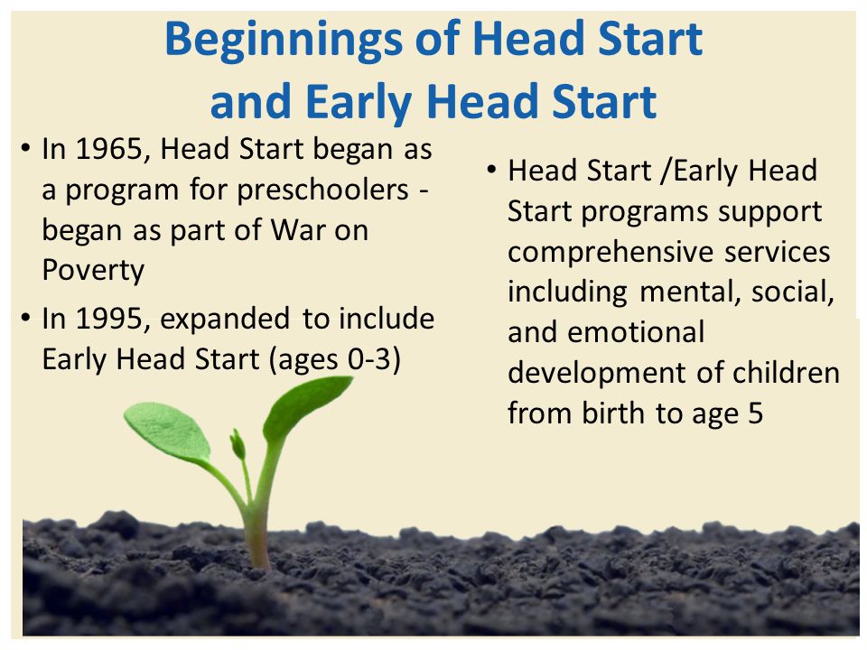 Beginnings of Head Start and Early Head Start