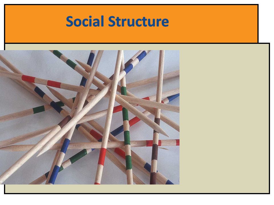 Social Structure