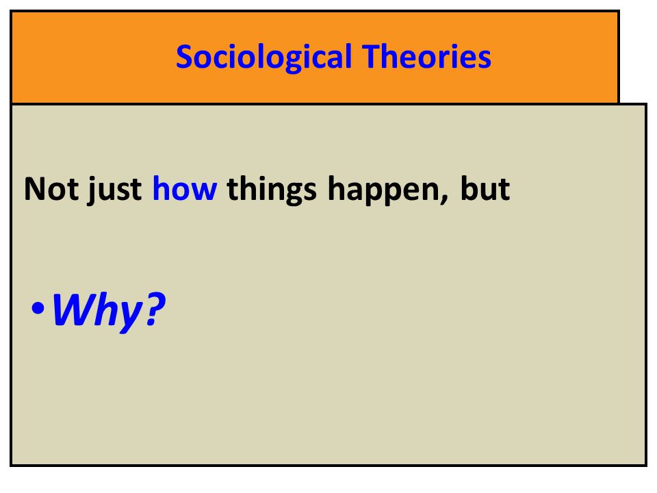 Sociological Theories