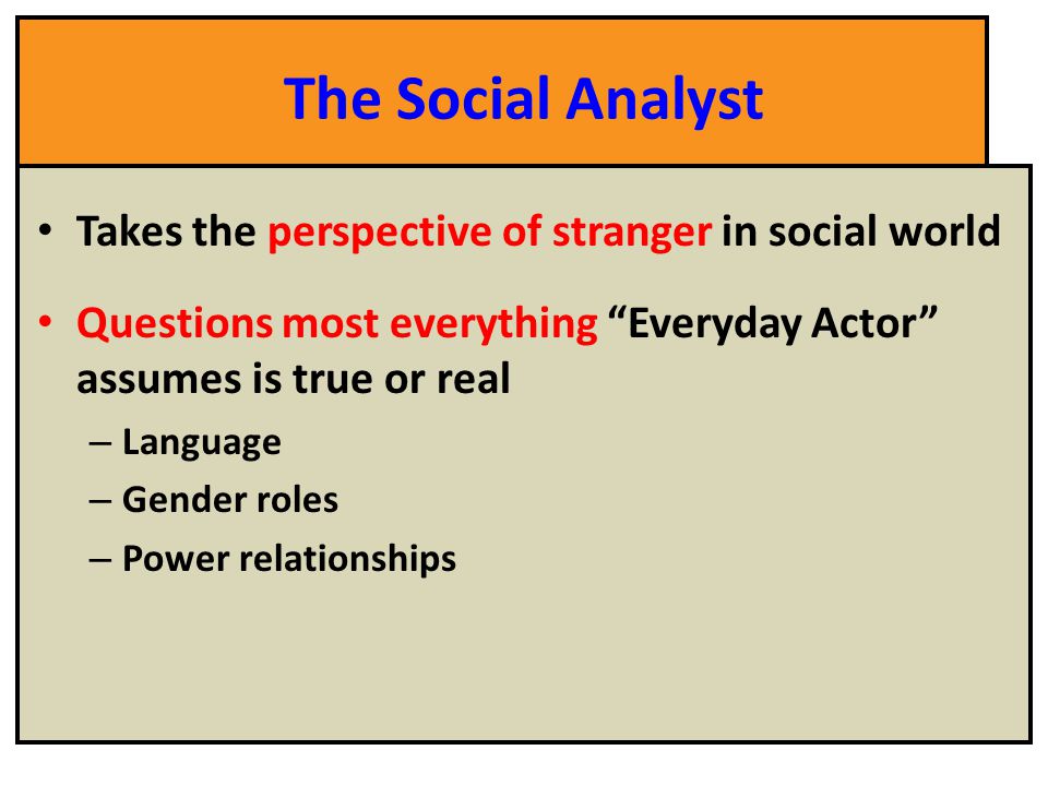 The Social Analyst Takes the perspective of stranger in social world