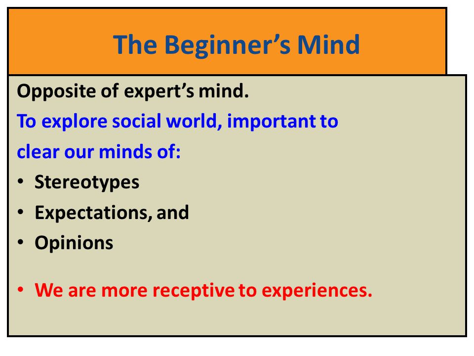 The Beginner’s Mind Opposite of expert’s mind.