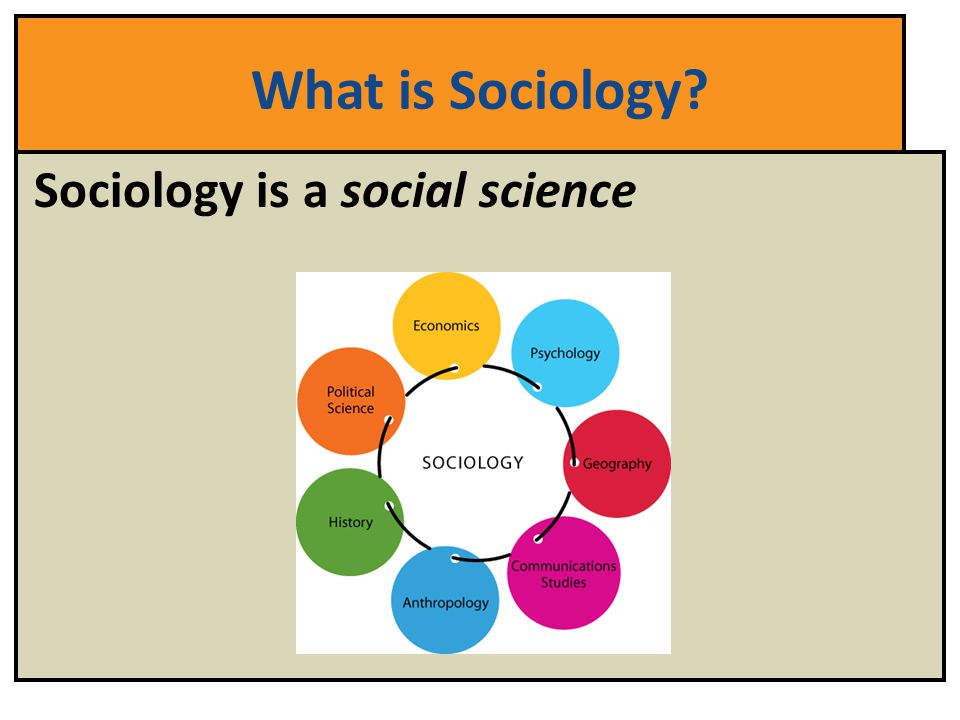 What is Sociology Sociology is a social science