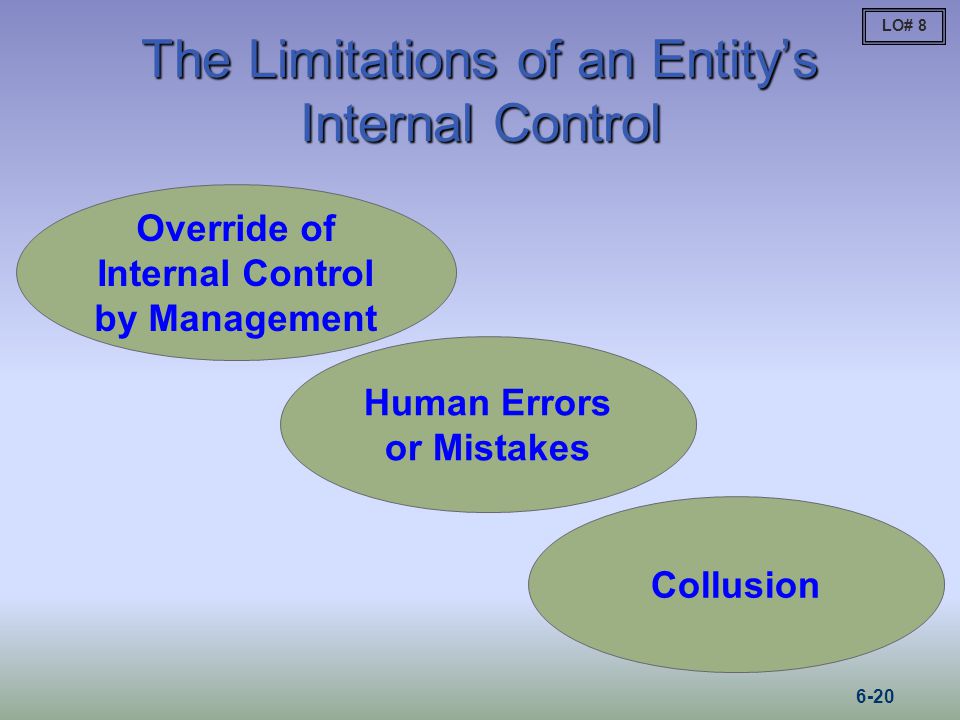 The Limitations of an Entity’s Internal Control