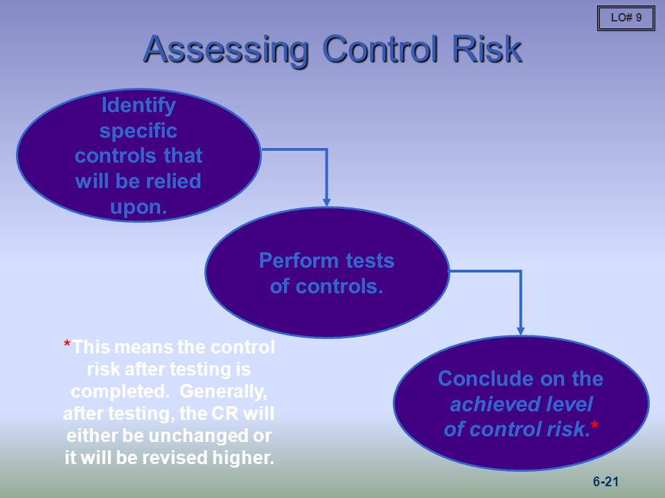 Assessing Control Risk