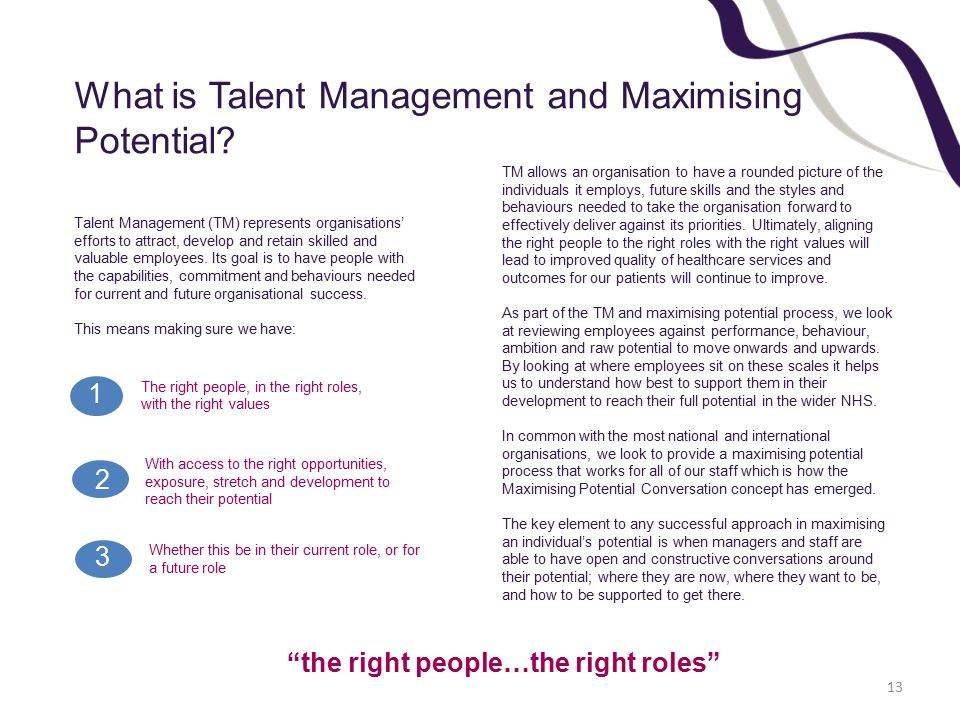 What is Talent Management and Maximising Potential