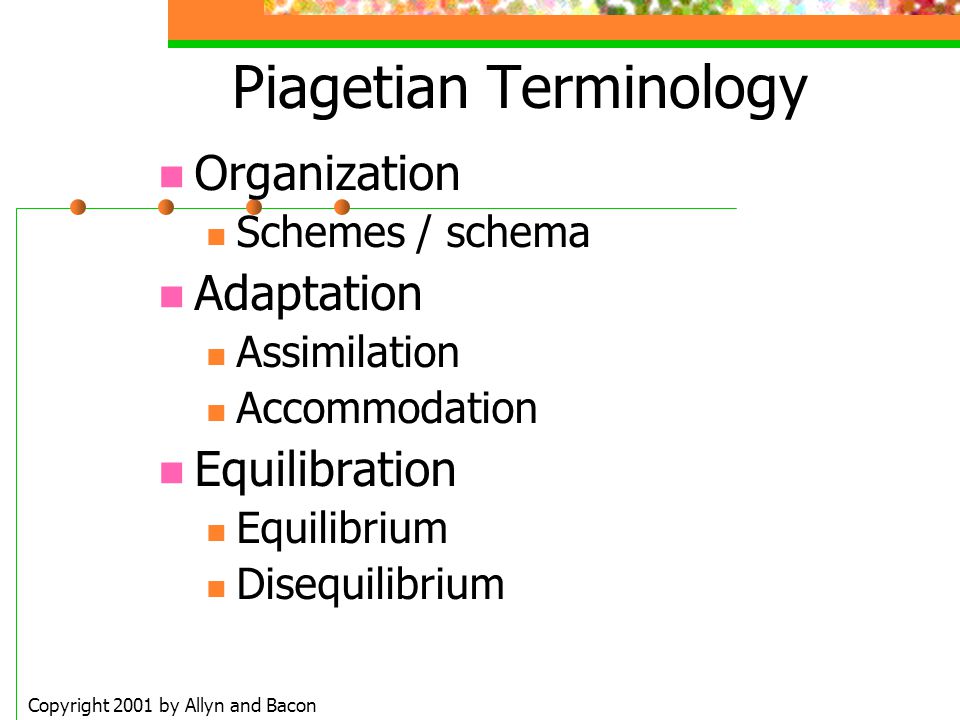 Piagetian Terminology