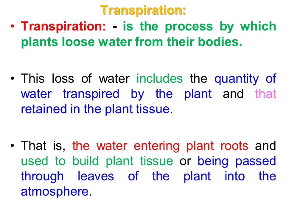 Transpiration: Transpiration: - is the process by which plants loose water from their bodies.