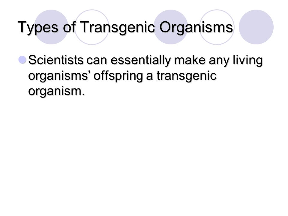 Types of Transgenic Organisms