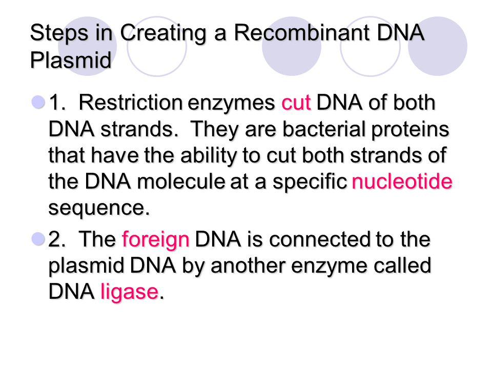 Steps in Creating a Recombinant DNA Plasmid