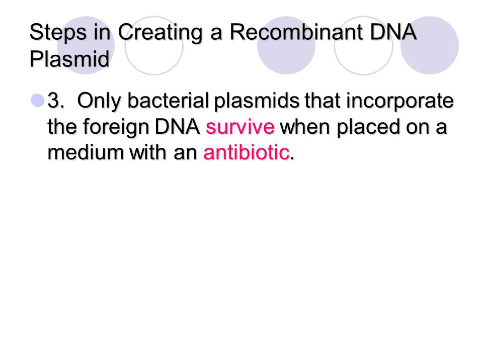 Steps in Creating a Recombinant DNA Plasmid
