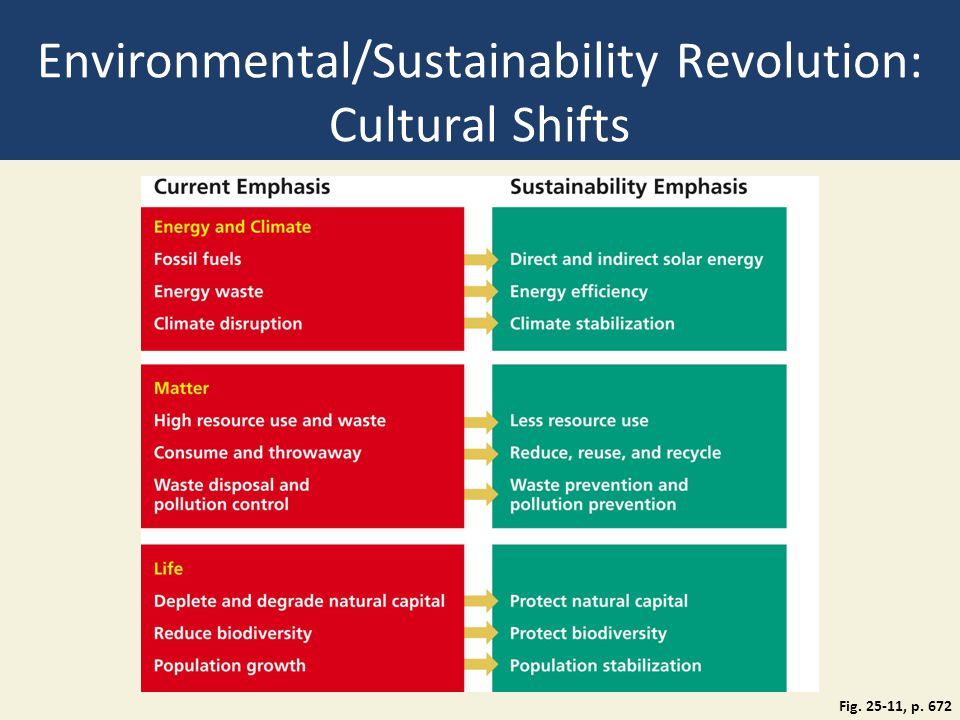 Environmental/Sustainability Revolution: Cultural Shifts