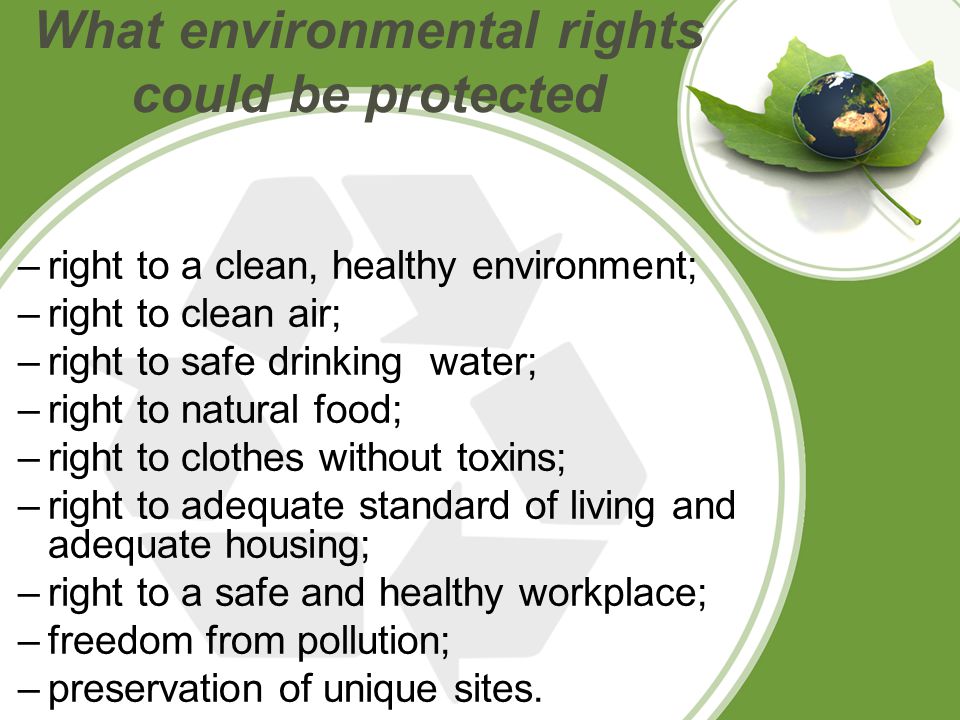 What environmental rights could be protected