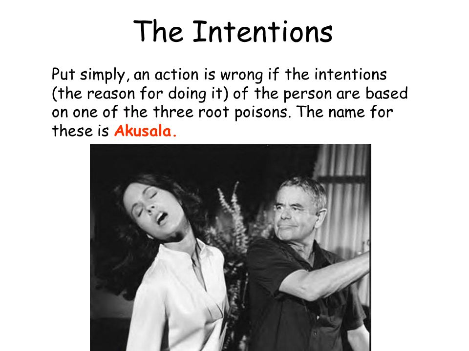 The Intentions