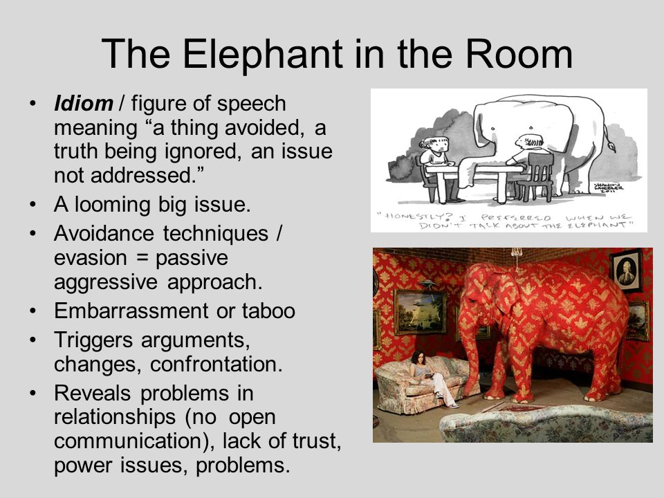 Identifying the Elephant in the Room