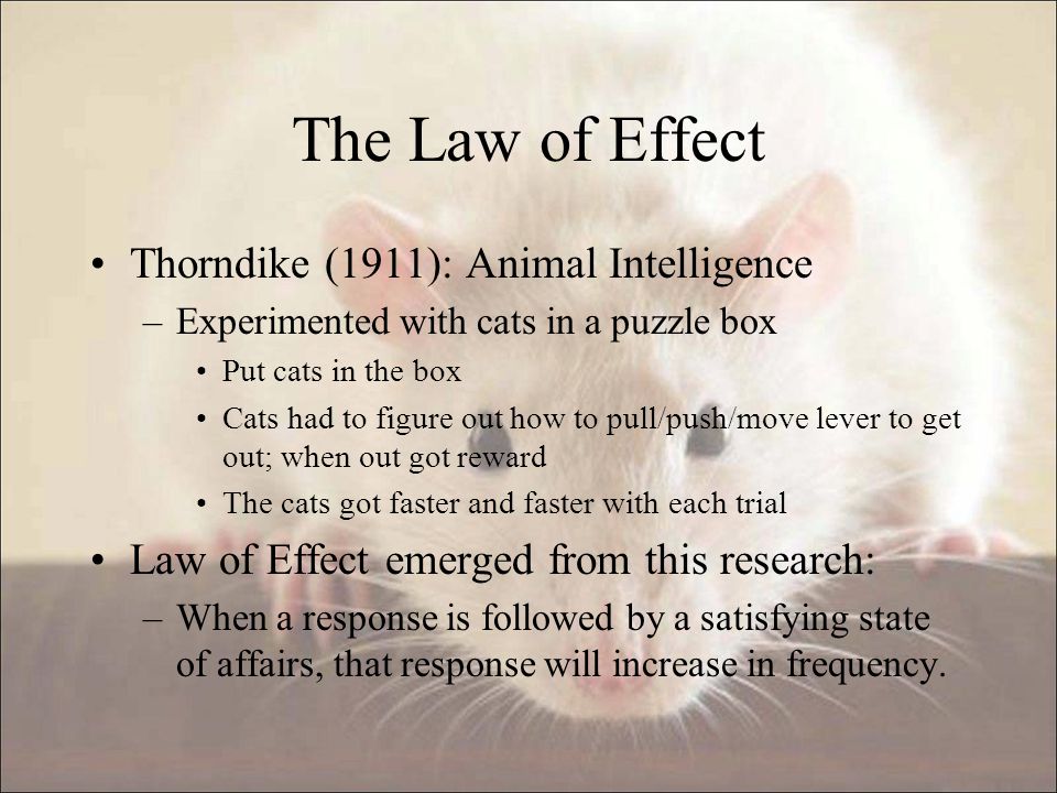 law of effect example