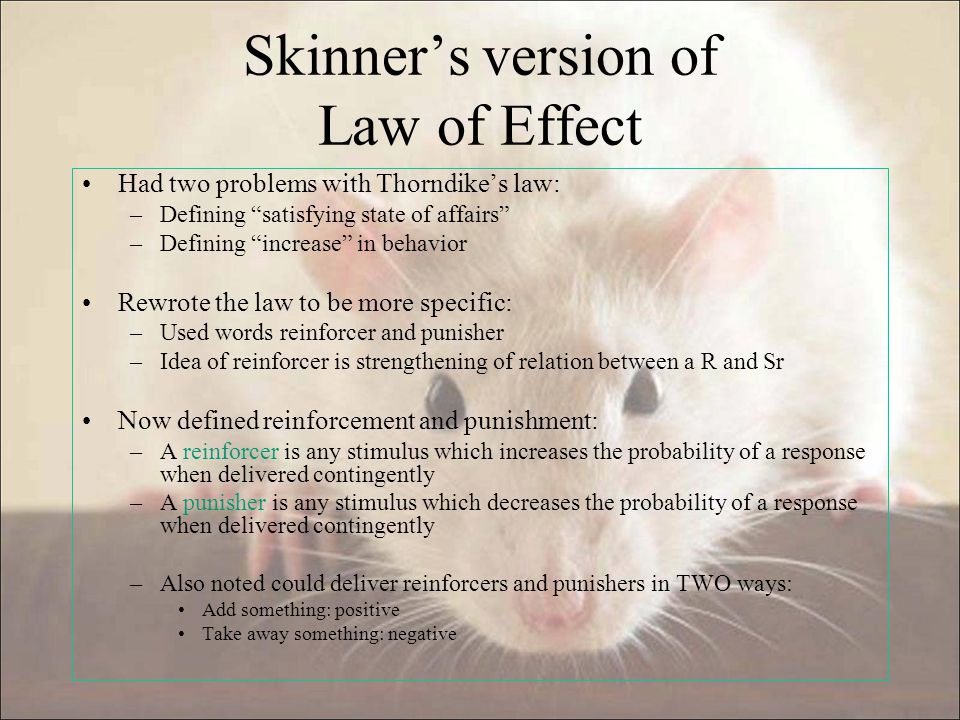 what is thorndikes law of effect