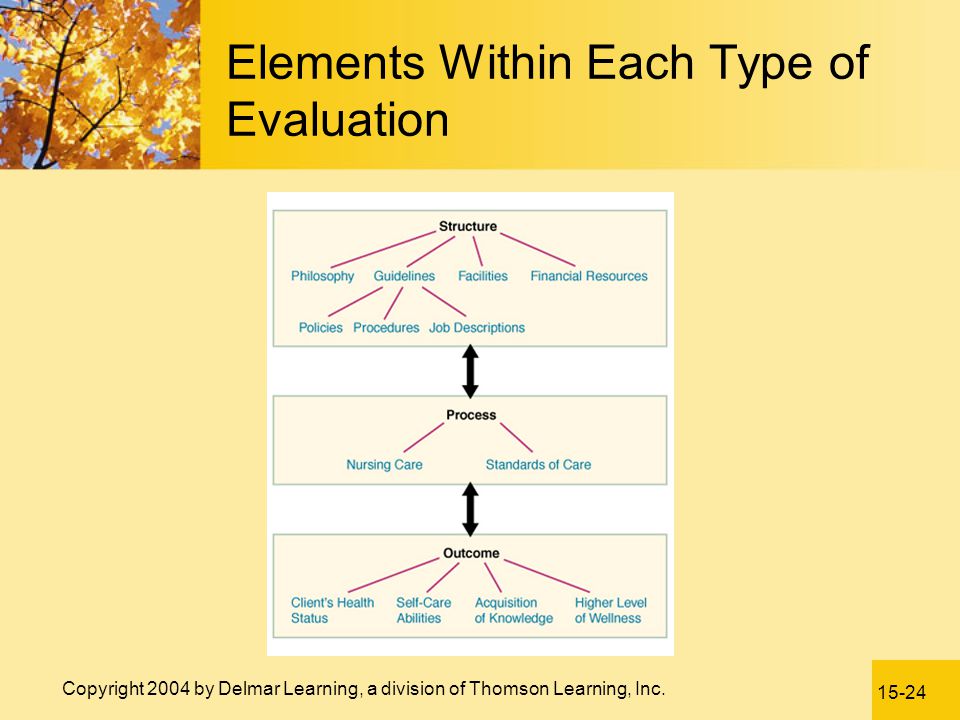 Elements Within Each Type of Evaluation