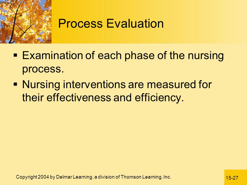 Process Evaluation Examination of each phase of the nursing process.