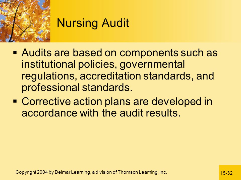 Nursing Audit