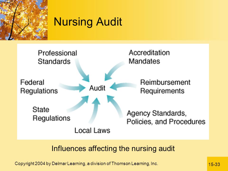 Influences affecting the nursing audit