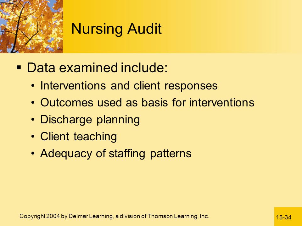 Nursing Audit Data examined include: