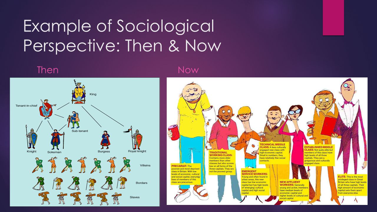examples of sociological perspective in everyday life
