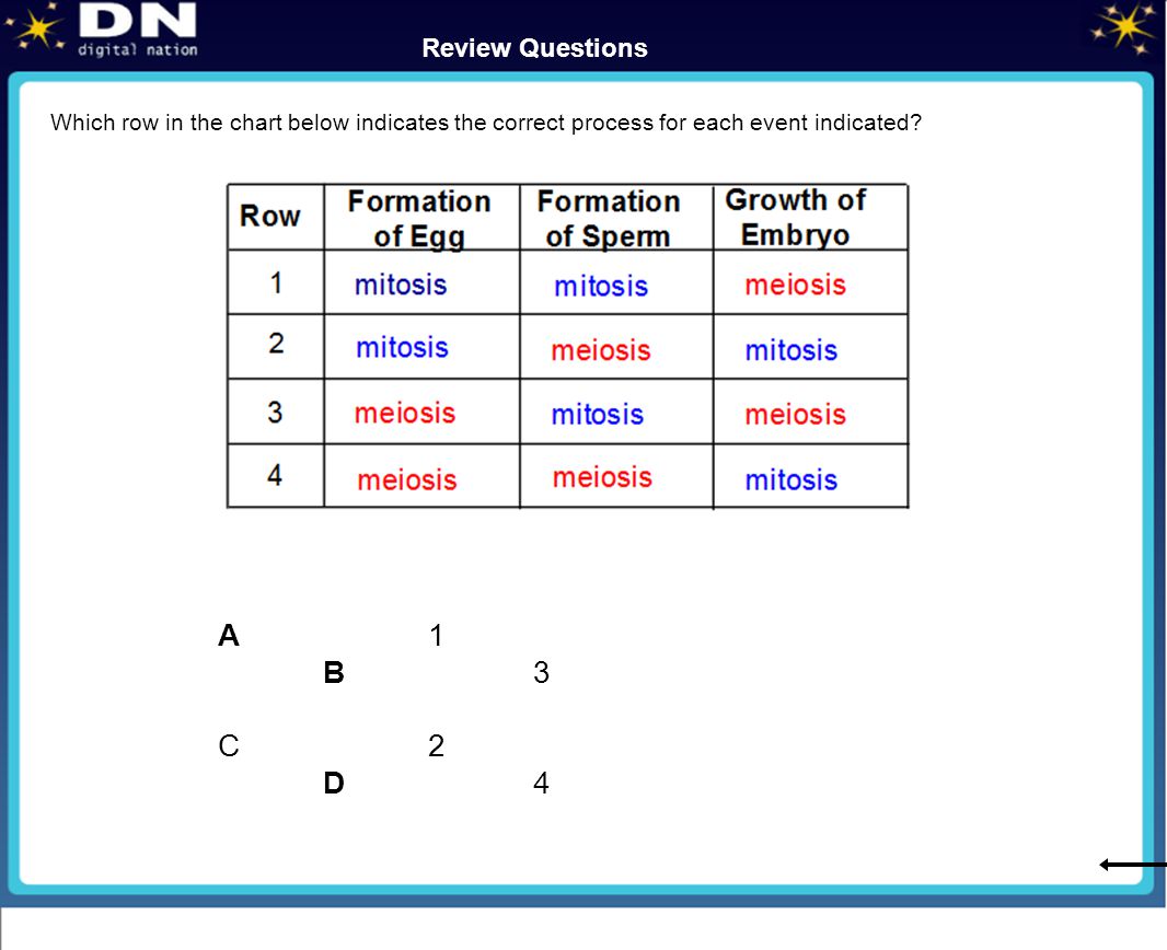 Meiosis Ppt Download