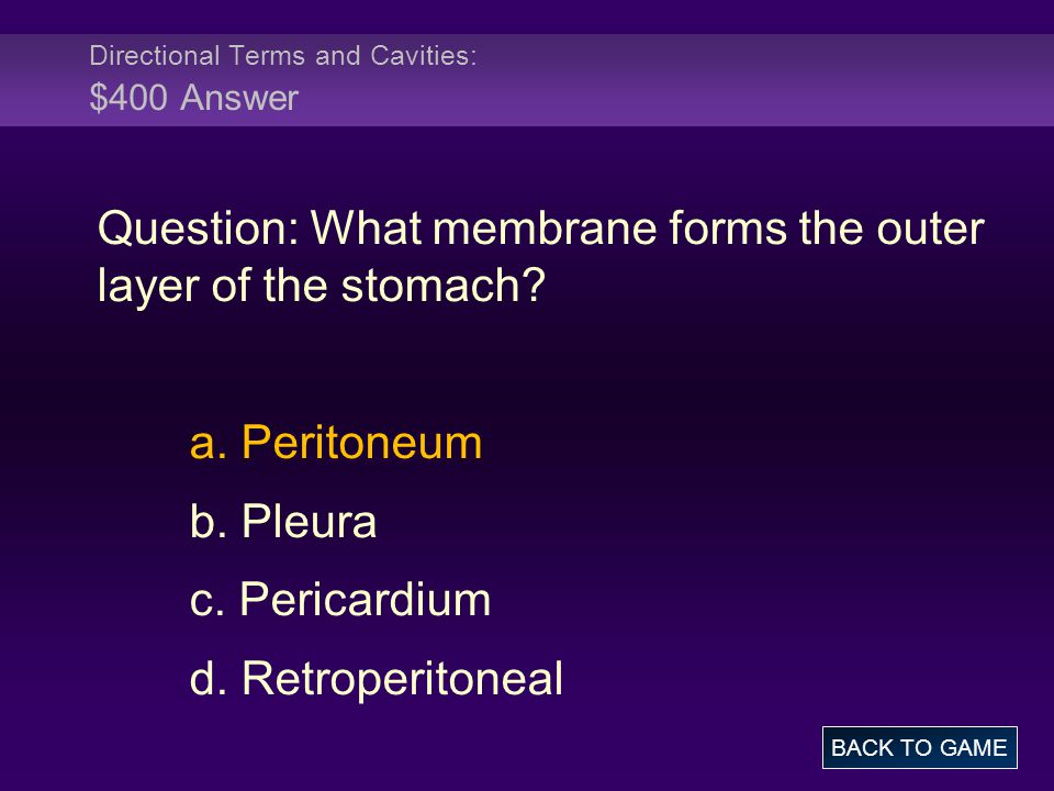 Directional Terms and Cavities: $400 Answer