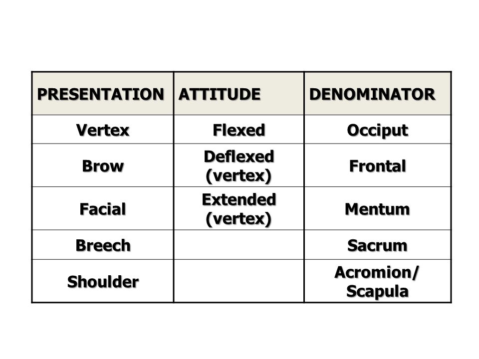 PRESENTATION ATTITUDE. DENOMINATOR. Vertex. Flexed. Occiput. Brow. Deflexed (vertex) Frontal.
