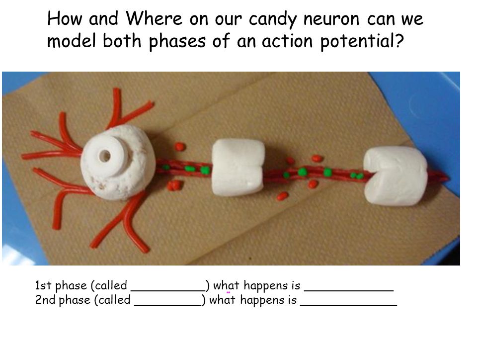 How and Where on our candy neuron can we