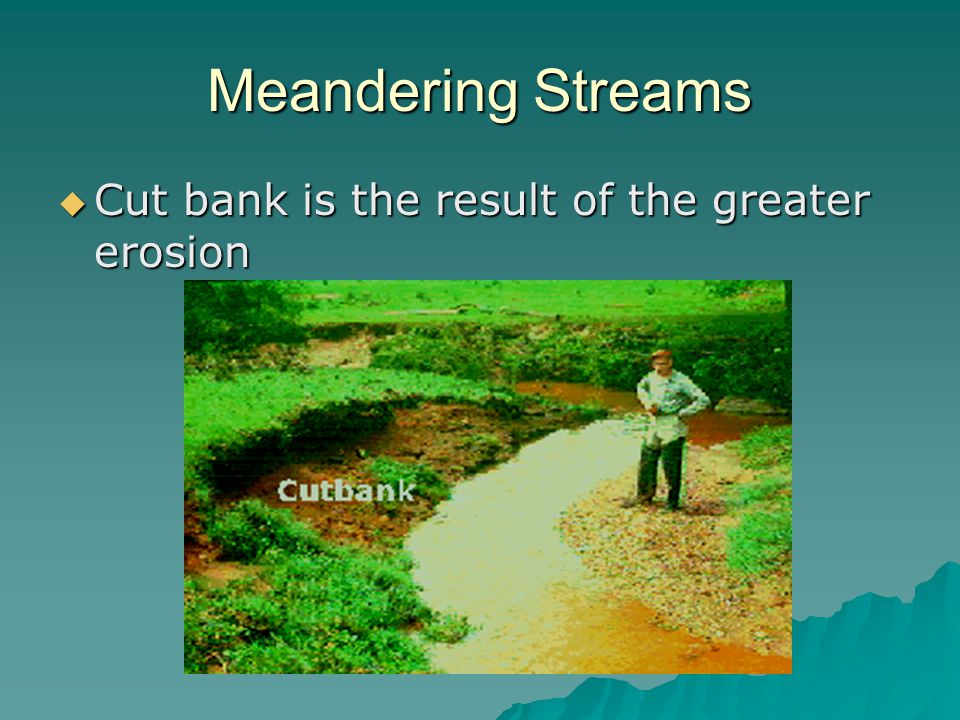 Meandering Streams Cut bank is the result of the greater erosion