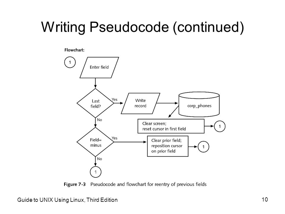 Writing Pseudocode (continued)