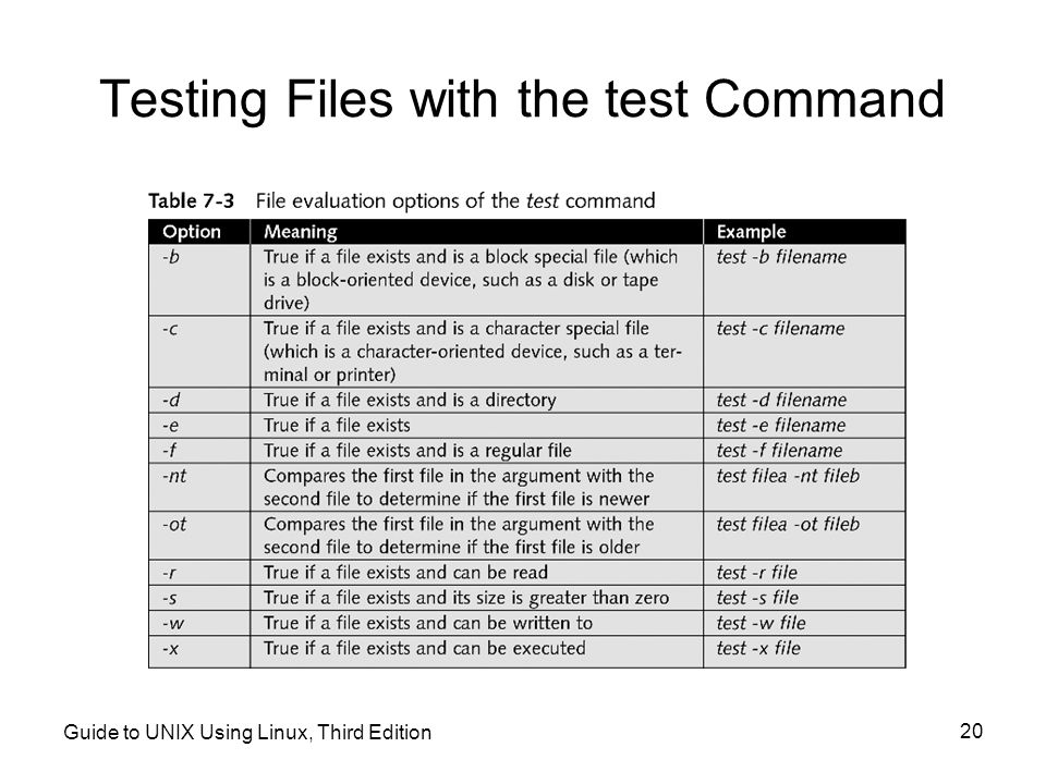 Testing Files with the test Command