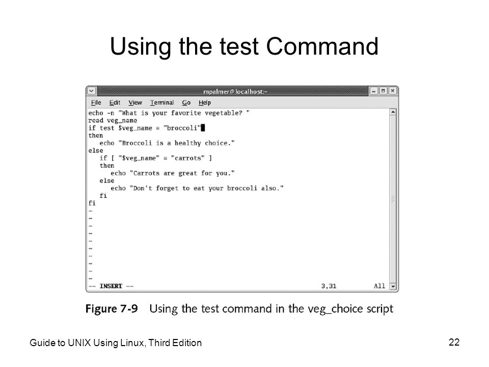 Using the test Command Guide to UNIX Using Linux, Third Edition