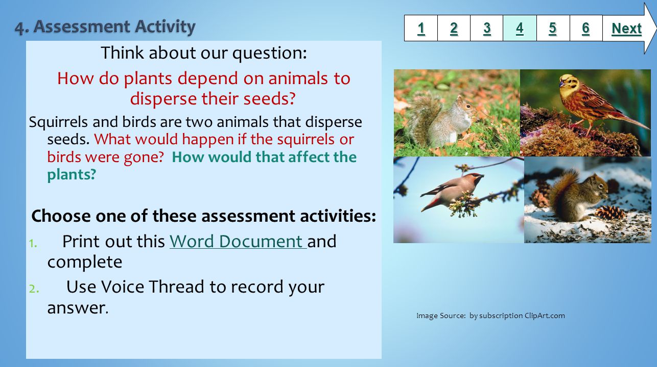 Choose one of these assessment activities:
