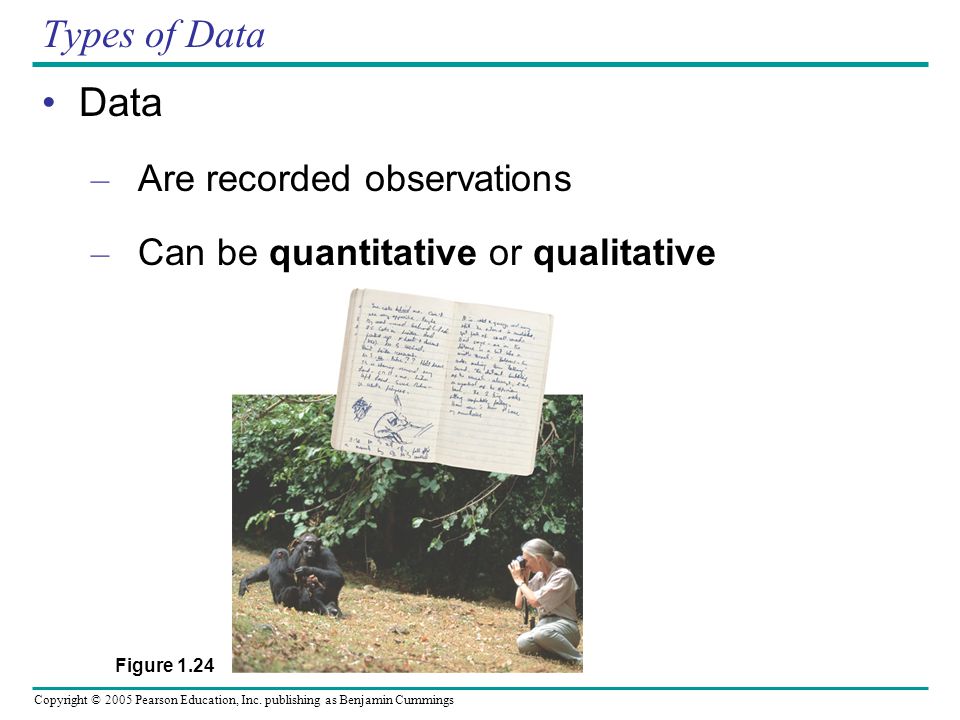 Types of Data Data Are recorded observations