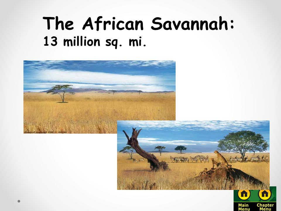 The African Savannah: 13 million sq. mi.