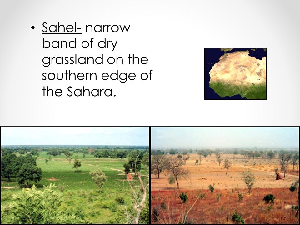 Sahel- narrow band of dry grassland on the southern edge of the Sahara.