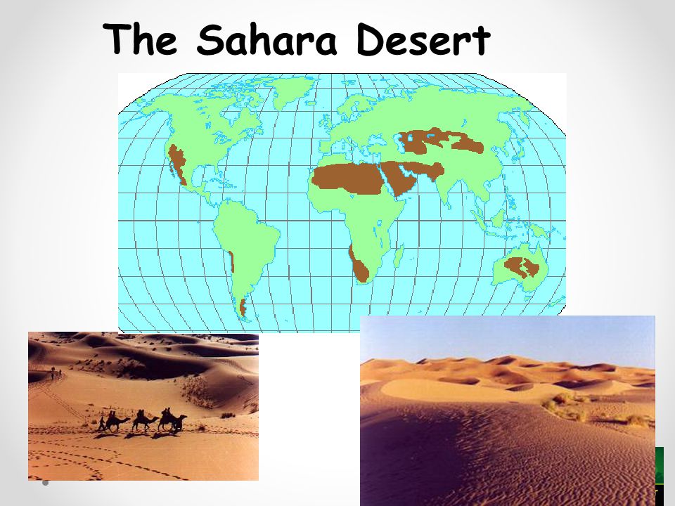 The Sahara Desert