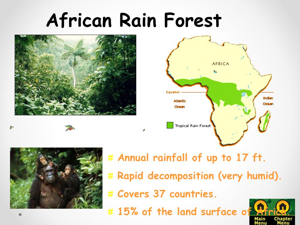 African Rain Forest Annual rainfall of up to 17 ft.