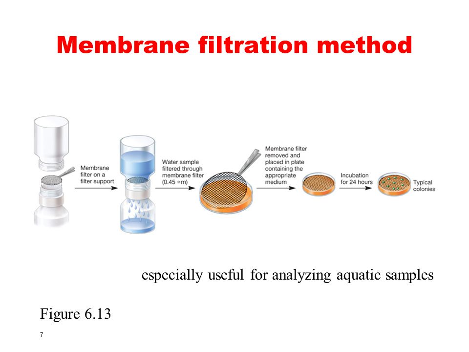 Method of determination. Membrane Filtration method. Membrane Filtration model. PPA Filtration. Стерилизующий фильтр Emflon® PFR membrane in Novasip™ Capsules.