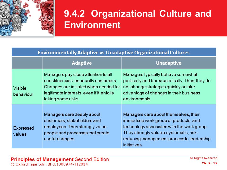 9.4.2 Organizational Culture and Environment