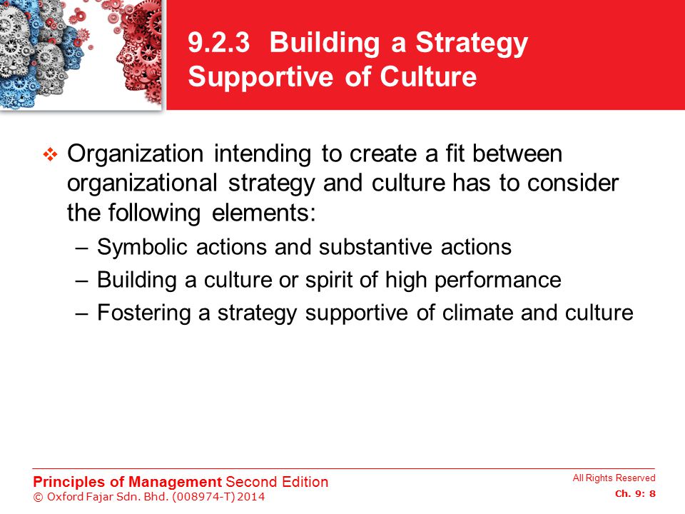 9.2.3 Building a Strategy Supportive of Culture