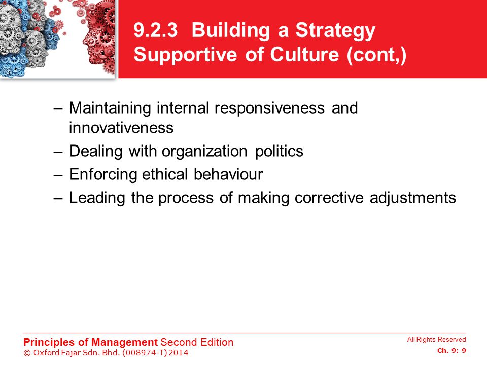 9.2.3 Building a Strategy Supportive of Culture (cont,)