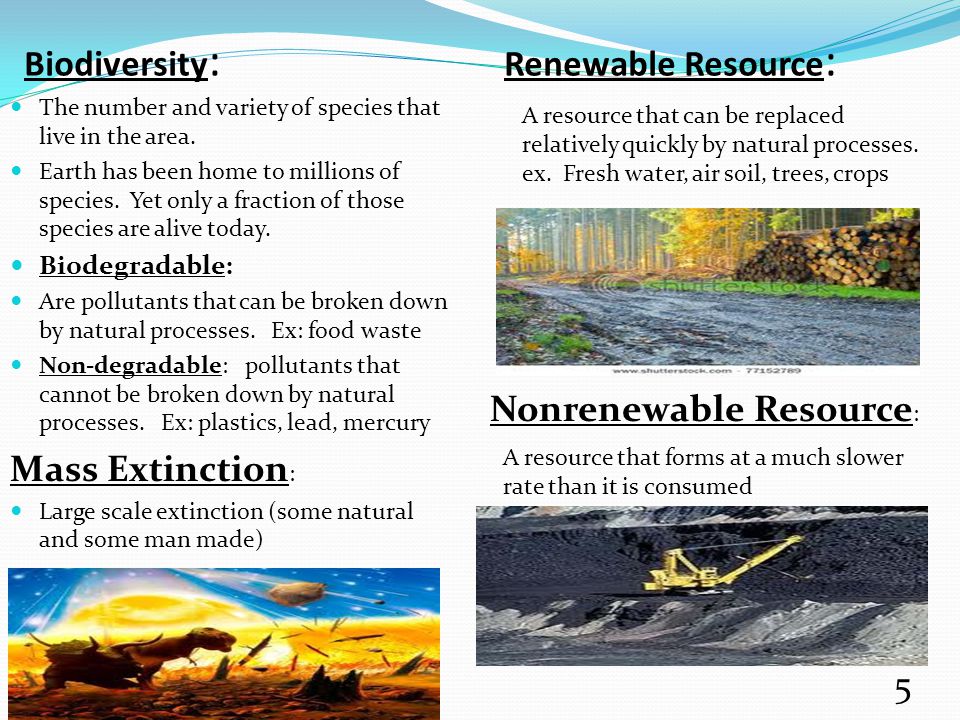 Biodiversity: Renewable Resource: