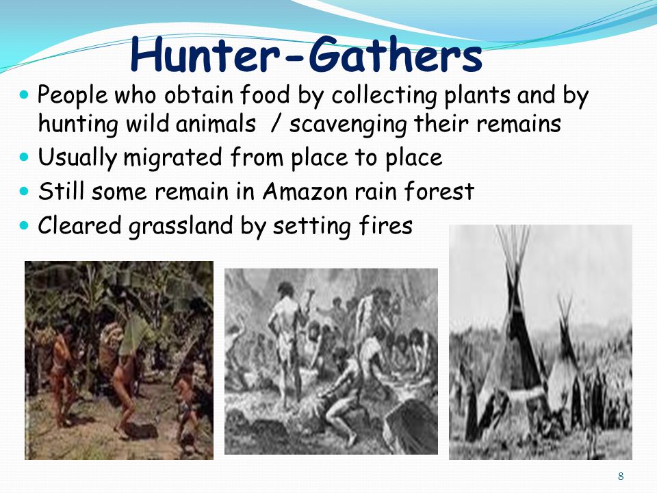 Hunter-Gathers People who obtain food by collecting plants and by hunting wild animals / scavenging their remains.