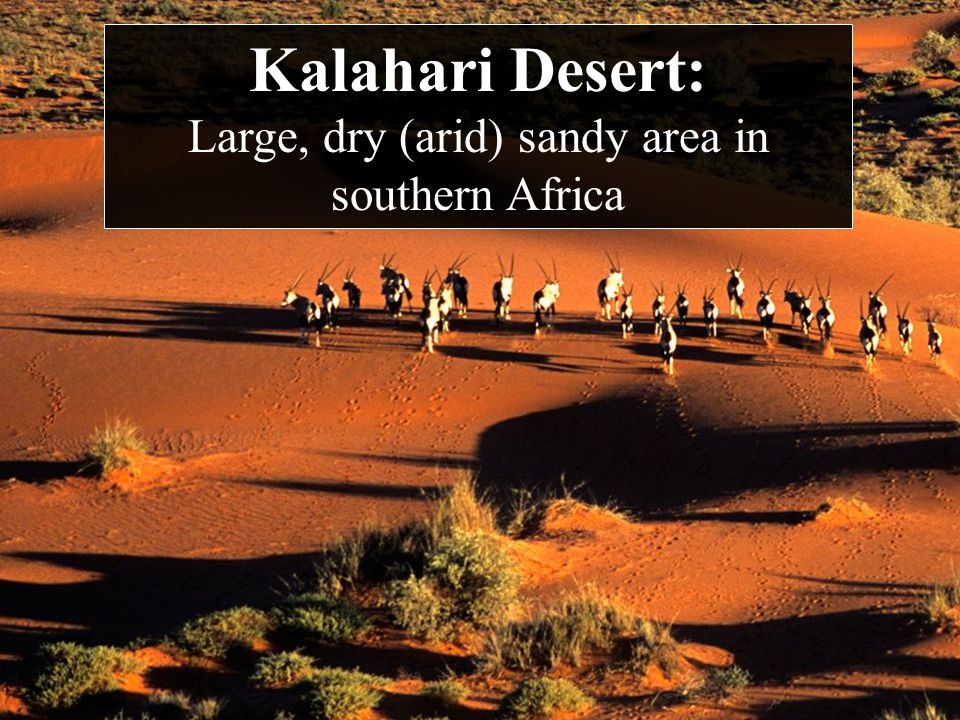 Kalahari Desert: Large, dry (arid) sandy area in southern Africa