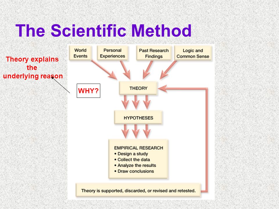The Scientific Method Theory explains the underlying reason WHY